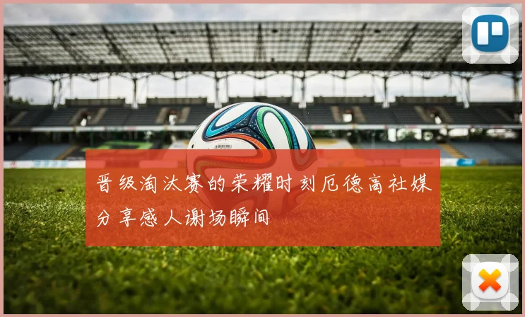 晋级淘汰赛的荣耀时刻厄德高社媒分享感人谢场瞬间